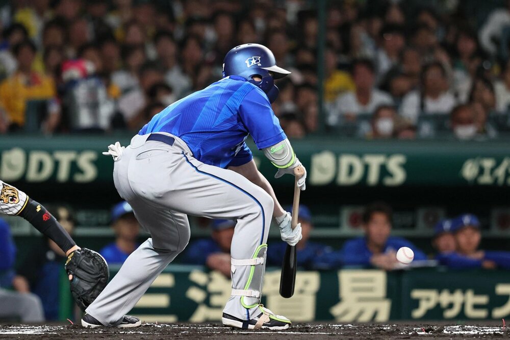 犠打失敗した佐野恵太