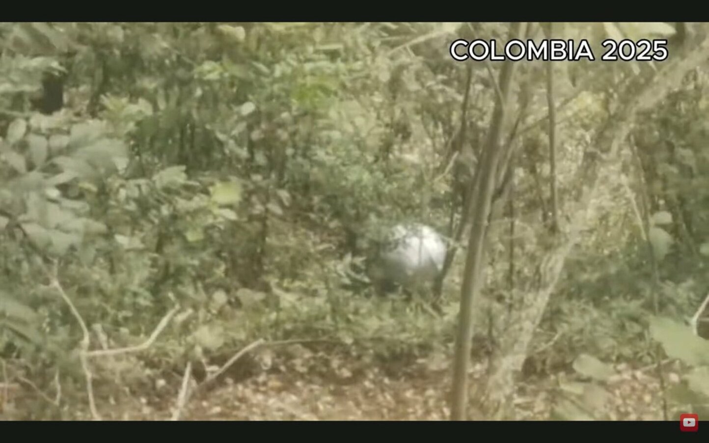 着陸したコロンビアのオーブ型UFO（ユーチューブチャンネル「UFOサイティング・デーリー」から）