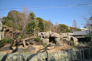 パンダはいなくなった
