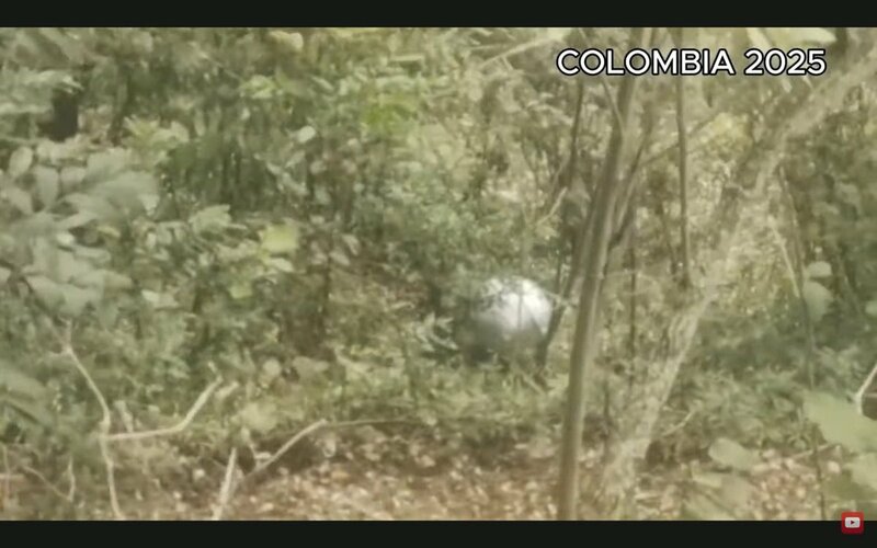 写真：コロンビアで撮影されたとされるオーブ型UFOの動画がネットで