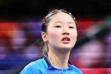 張本美和