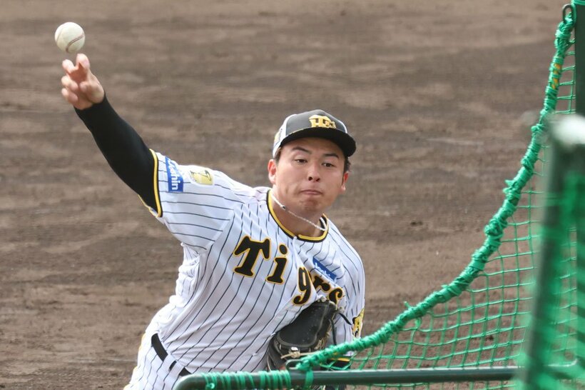 ランチ特打の打撃投手に志願した阪神ドラフト２位・椎葉剛　