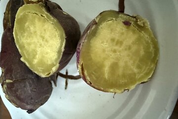 ダイエット向きなのは蒸し芋。冷やして食べればもっといい