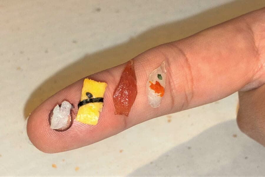 見よ！極小のすしを（左からタコ、玉子、マグロ、フグ）