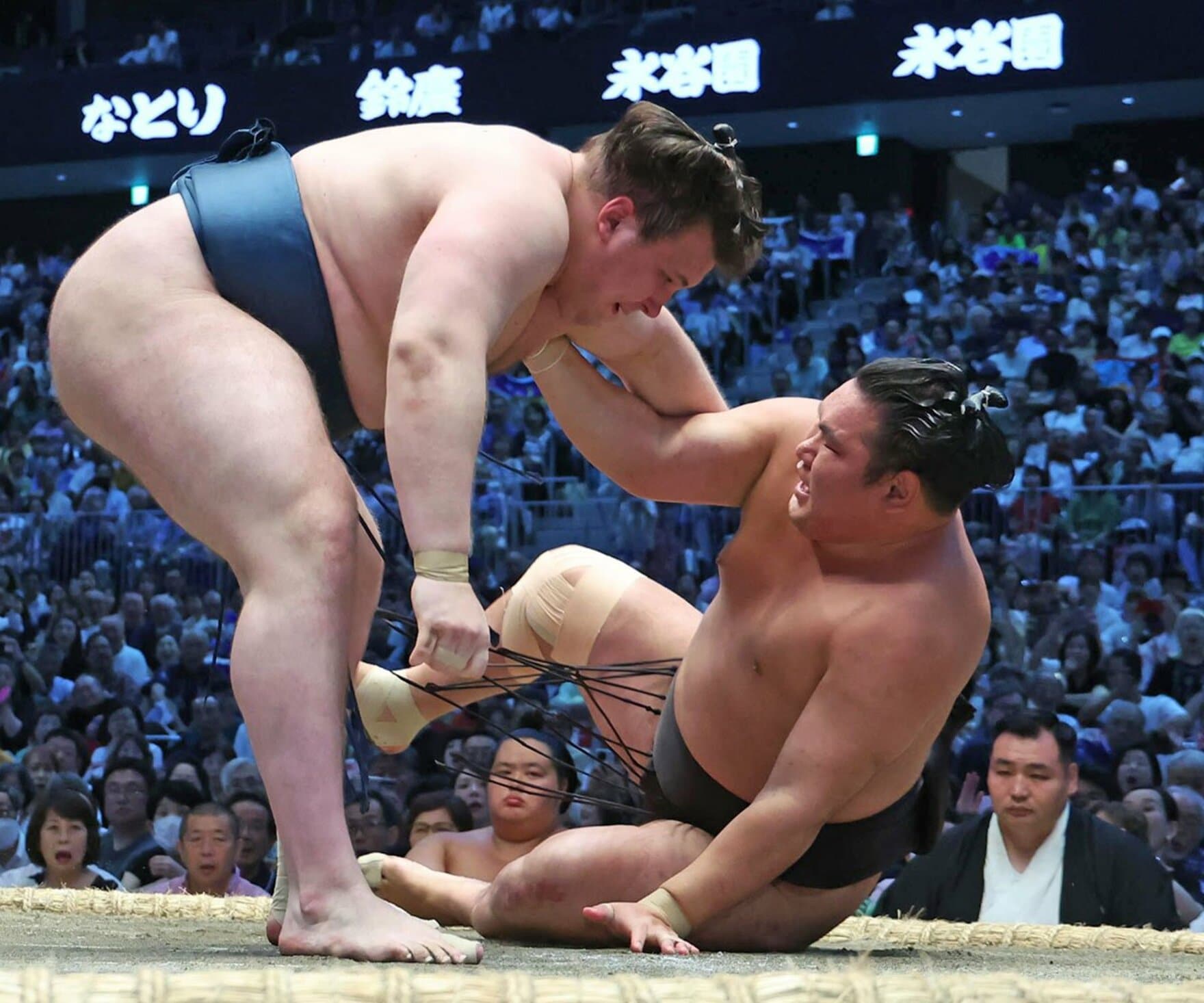 上手投げで豊昇龍（右）を破った安青錦