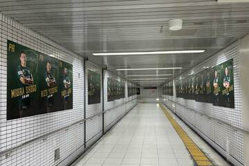 左右合わせて８０メートルの「ヴェルブリッツロード」