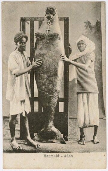  「アデン湾の人魚」として知られる写真