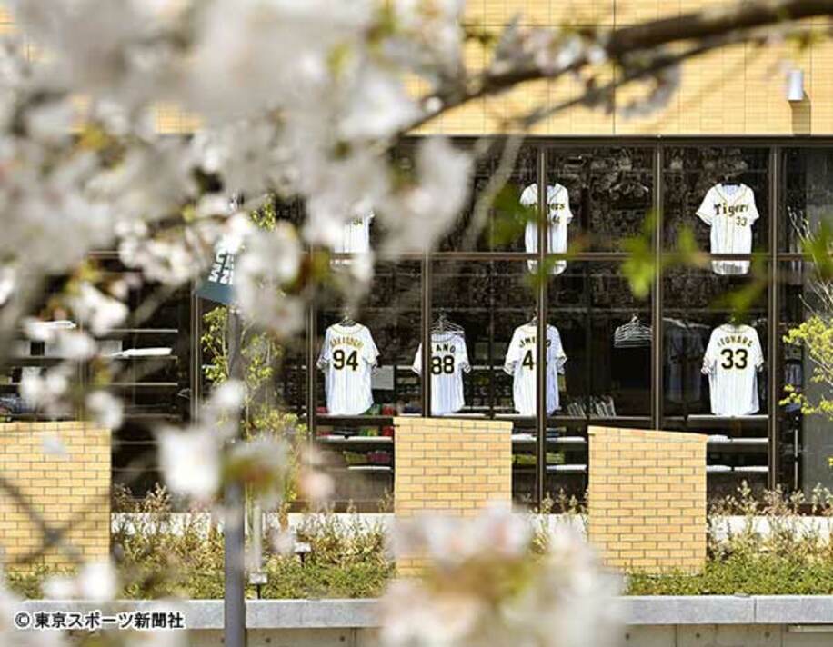 甲子園球場のグッズショップで売られている矢野監督のユニホーム（下段左から２番目）。満開の桜との対比が寂しい…