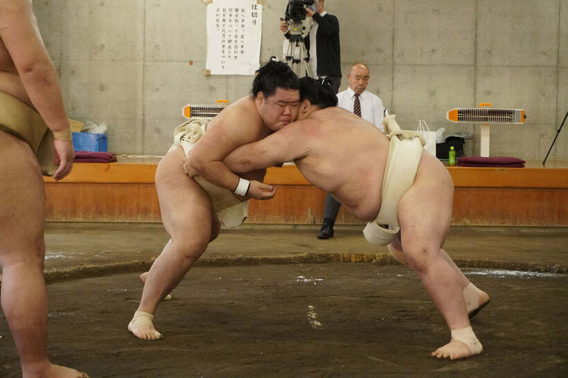 合同稽古で汗を流した明生(左)