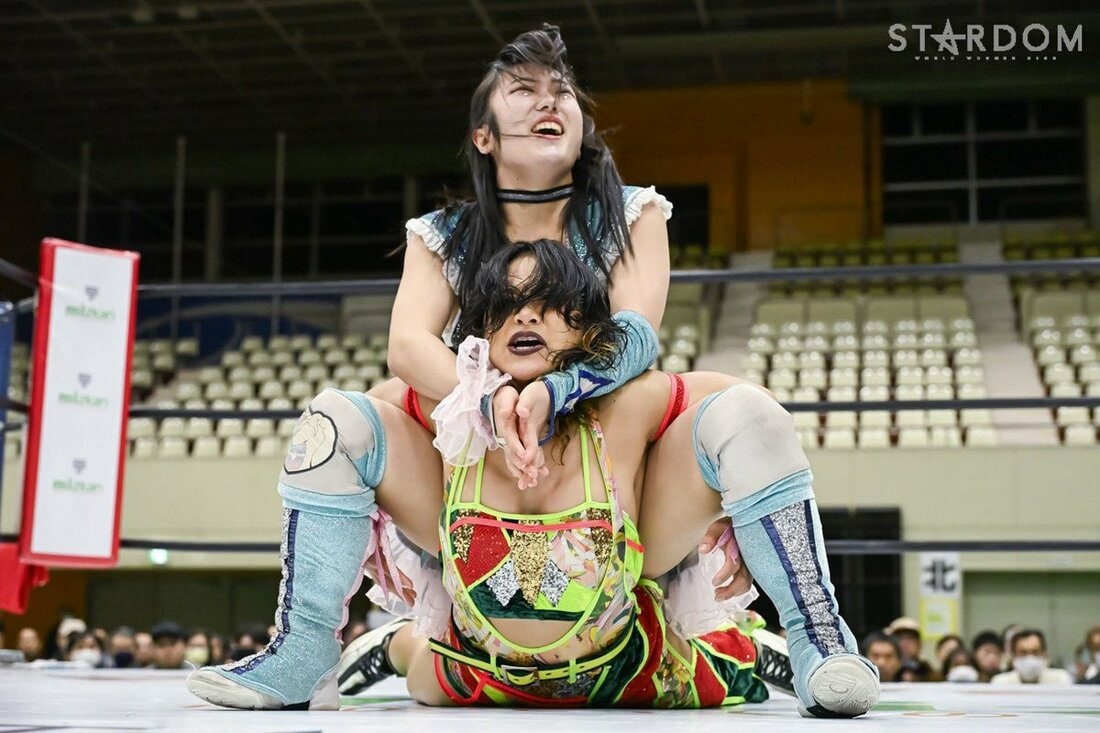 飯田沙耶(下)をラクダ固めで絞る玖麗さやか