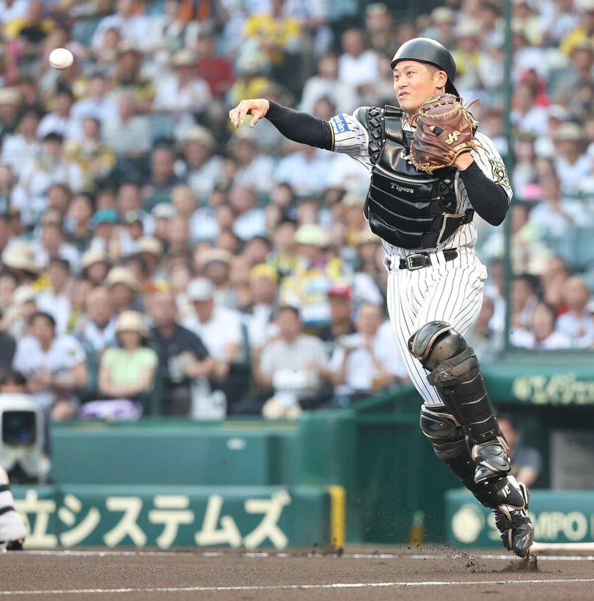 阪神】坂本誠志郎 つかんだ司令塔の座にこだわり皆無「正捕手の基準も 