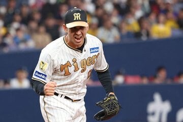 無失点投球を見せた阪神・ゲラ