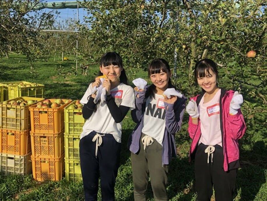  ９月に「布留川りんご園」でボランティア活動を行った星座百景の（左から）上川湖遥、白浜妃奈乃、成瀬らら
