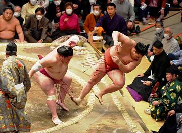 大栄翔（左）に突き倒された豊昇龍