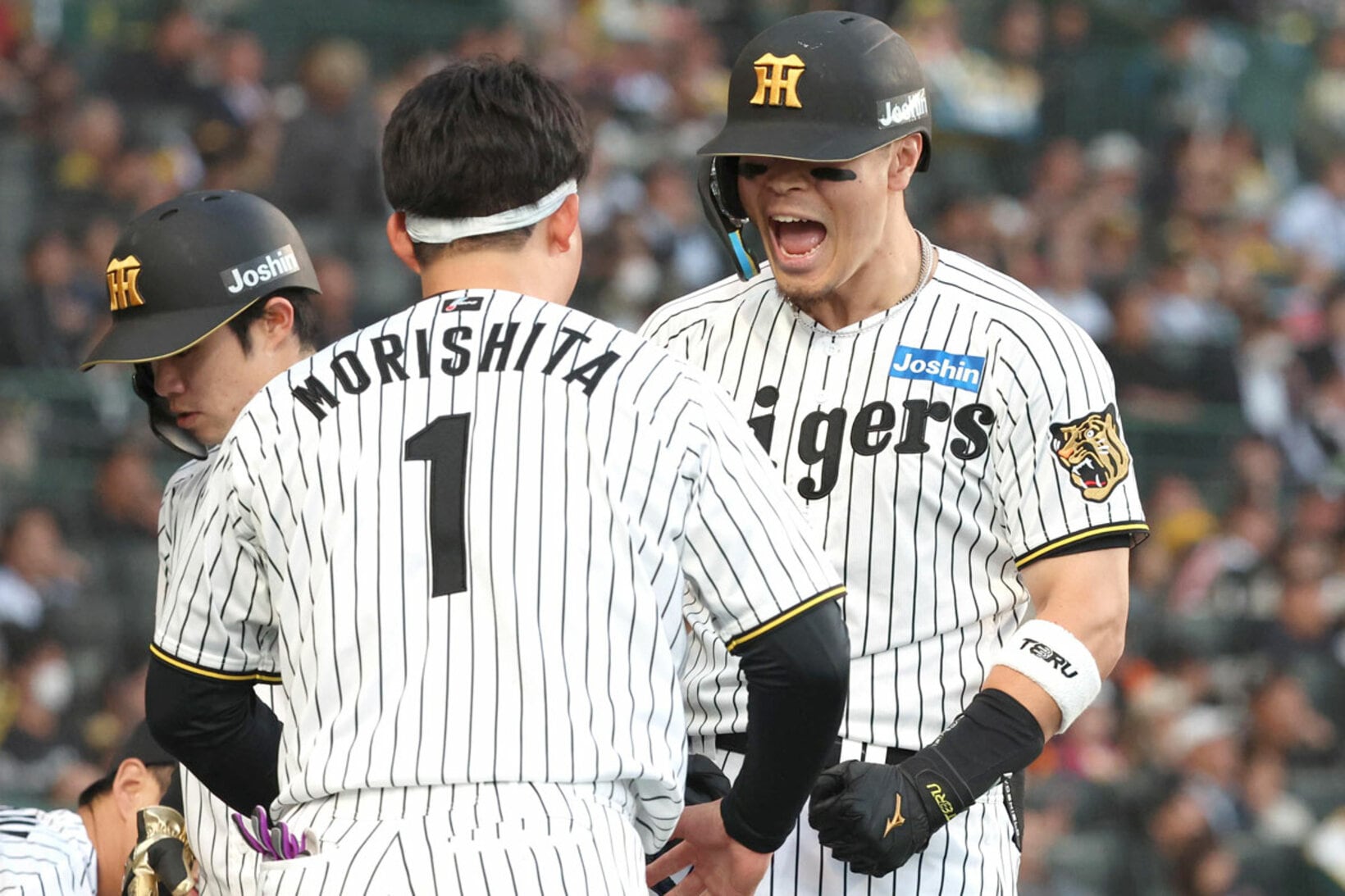 吠える佐藤輝明
