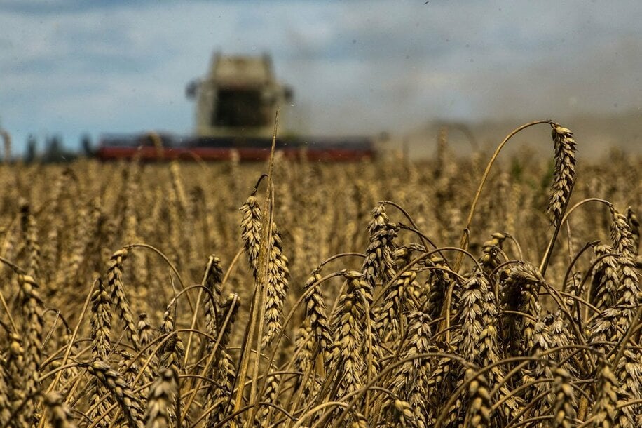  ウクライナの小麦畑（ロイター）