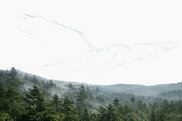 サウンドバード（AI「ChatGPT」による画像生成）