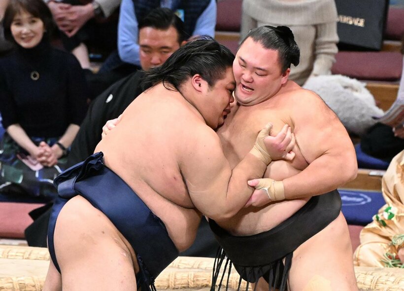 藤凌駕のハズ押しを受け止める朝乃山（右）