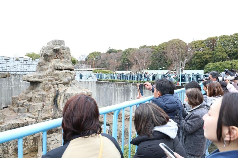 市川市動植物園は連日の人だかり