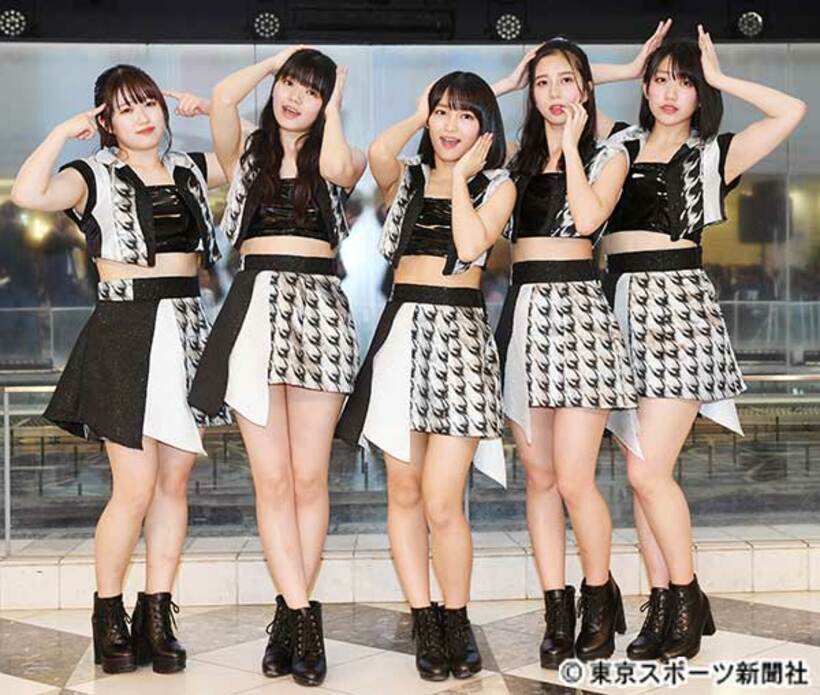  こぶしの解散ライブは無事、開催されるのか？