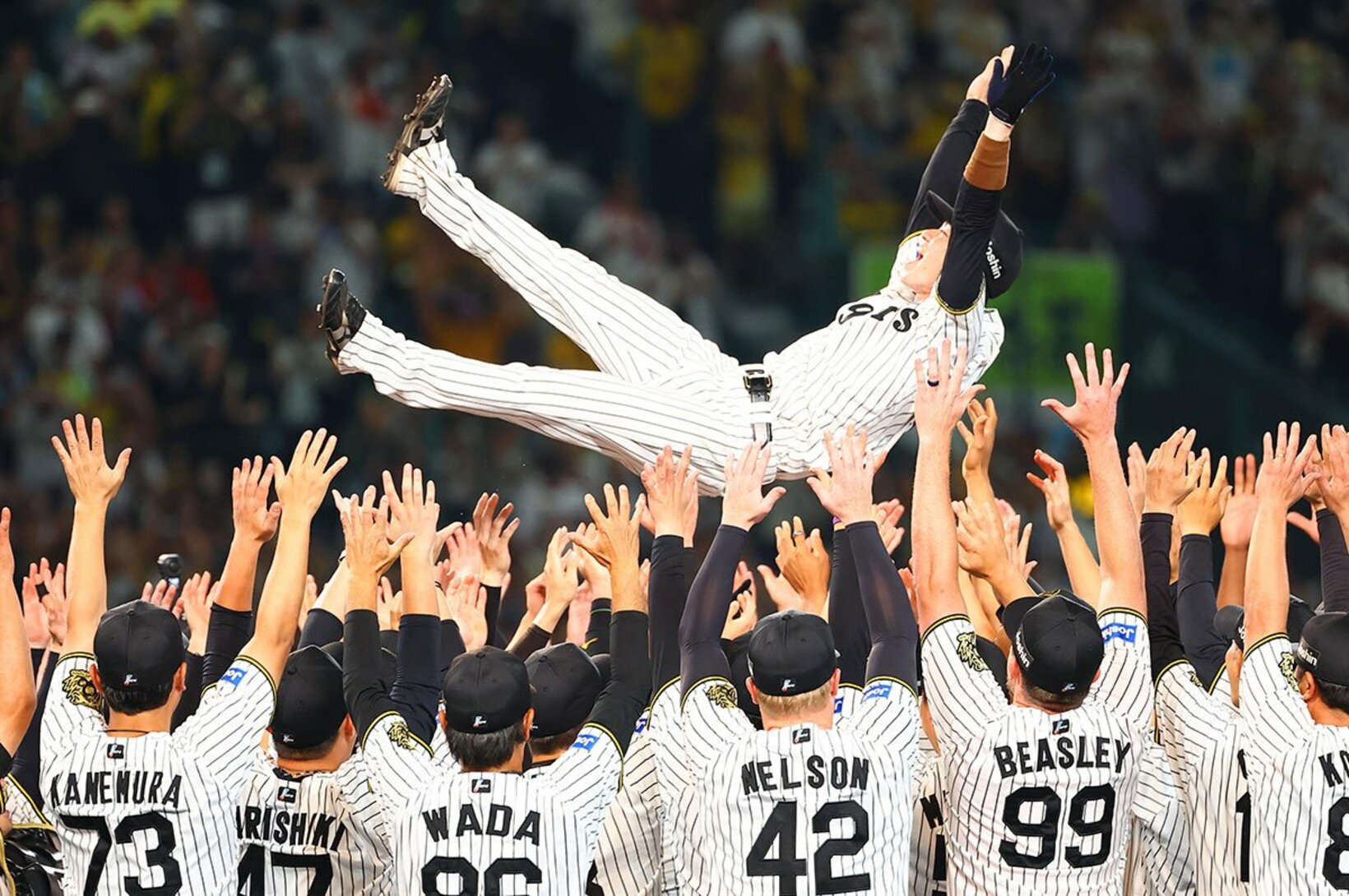選手会長として胴上げされた阪神・中野拓夢