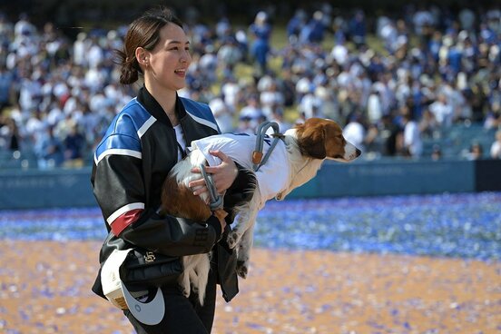 愛犬デコピンを抱く真美子夫人（ロイター）