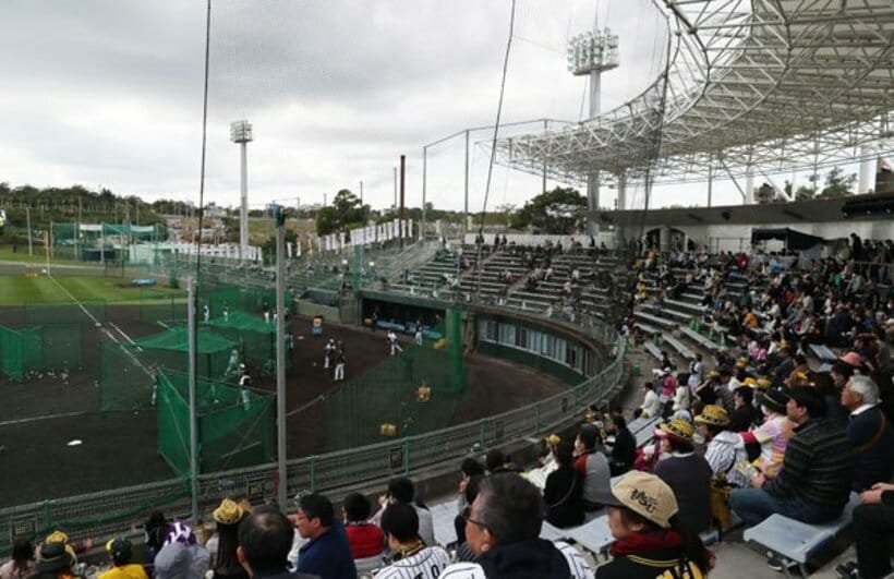  昨年の沖縄・宜野座キャンプは多くの観客が訪れたが…