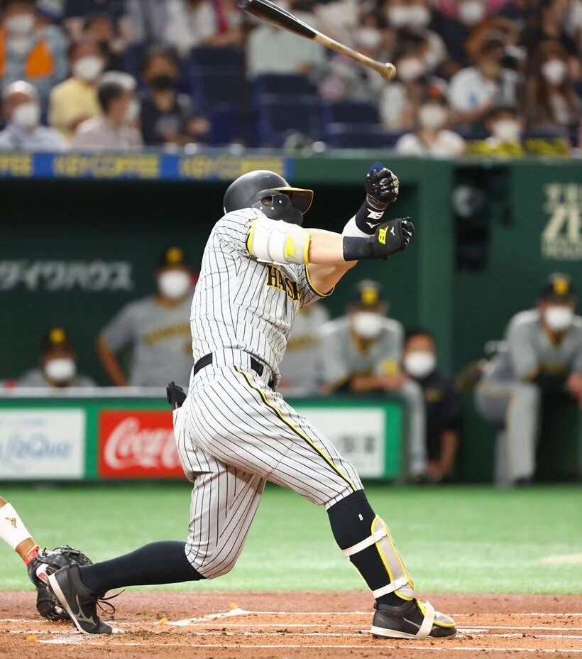  佐藤輝明の手からバットがすっぽ抜けて客席へ（東スポWeb）