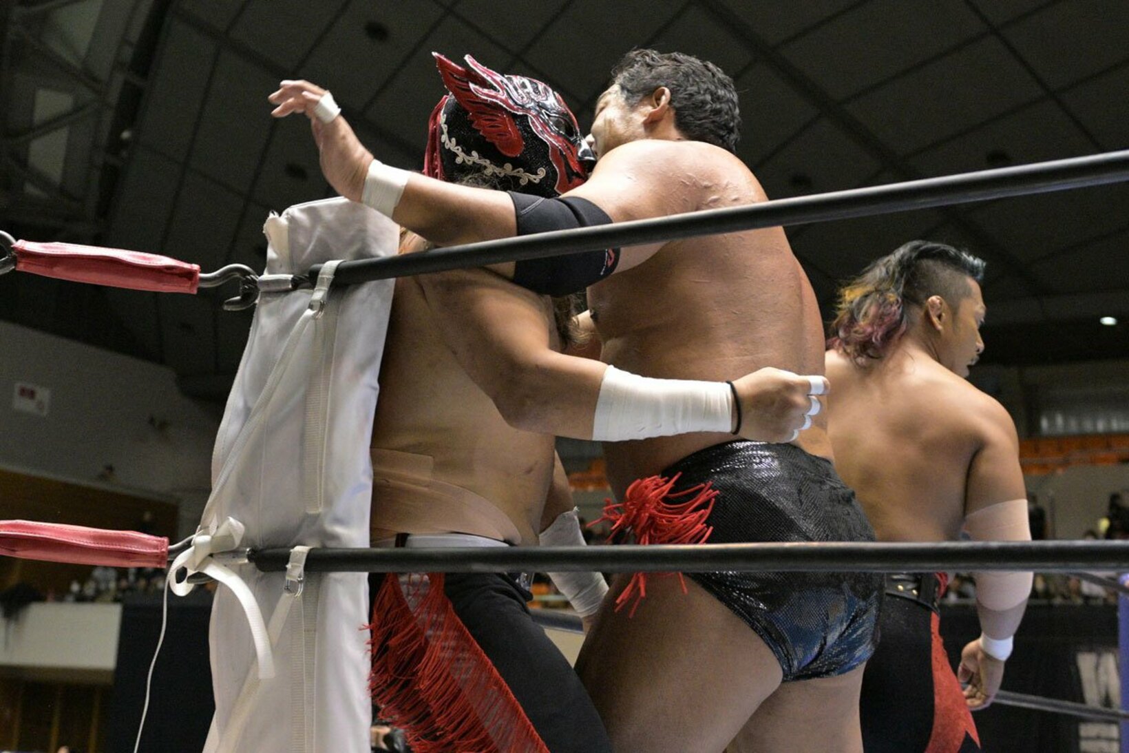 エル・デスペラード（左）に誤爆する石川修司