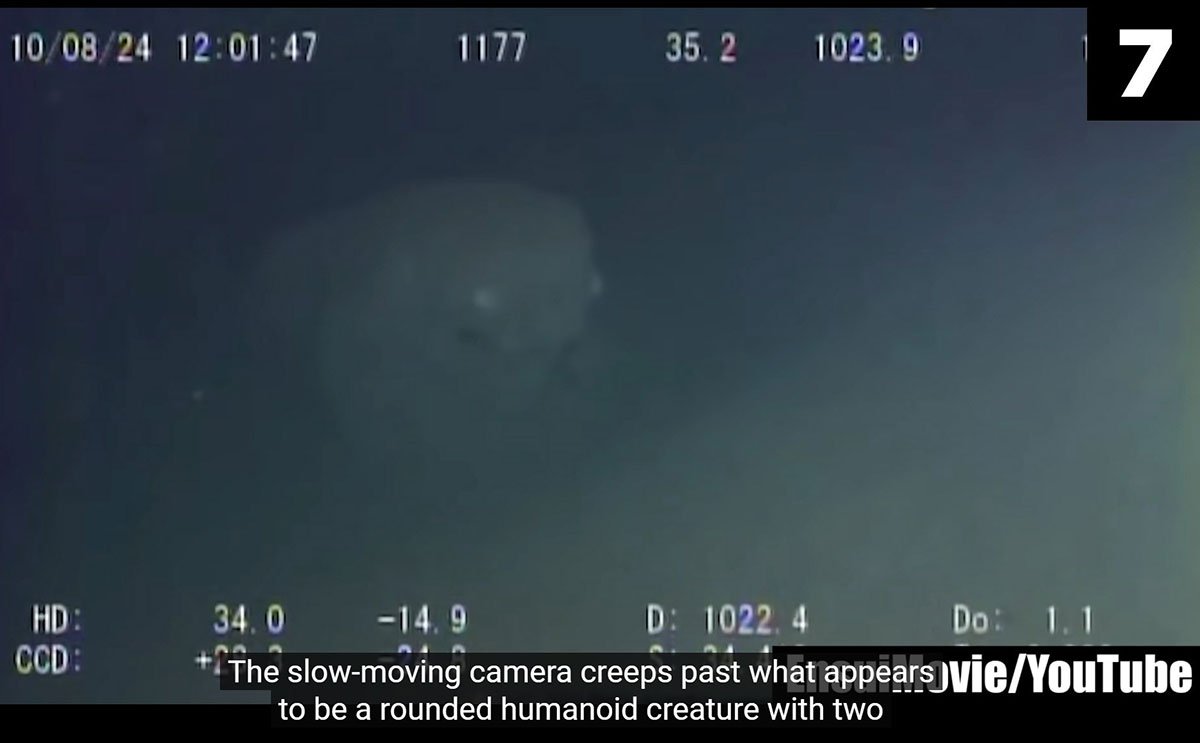 相模湾の海底で「日本版ニンゲン」が発見された！？ | 東スポWEB