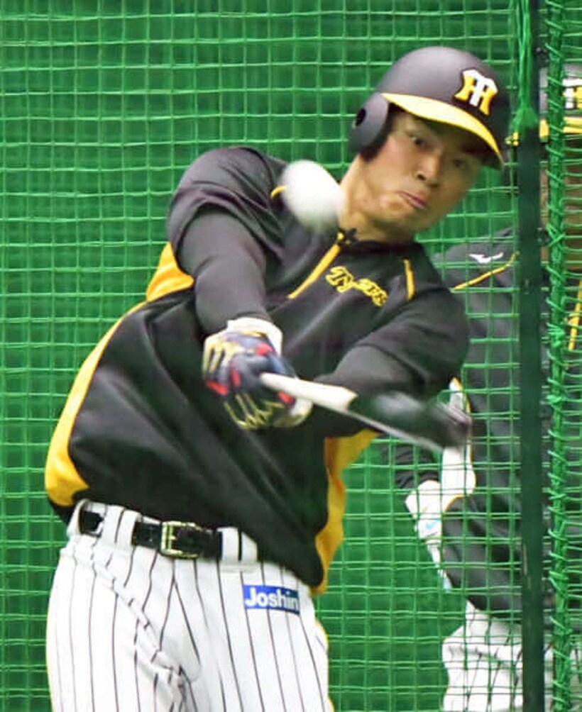  打撃練習をする阪神・佐藤輝