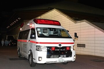 ついに死亡例も報告された（写真はイメージ）