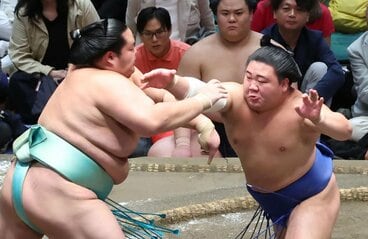 琴桜(左)を下し勝ち越しに王手をかけた藤ノ川