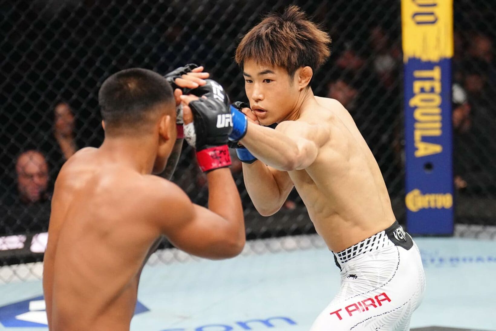 序盤は優勢だった平良（右）だが…（©Zuffa LLC/UFC）