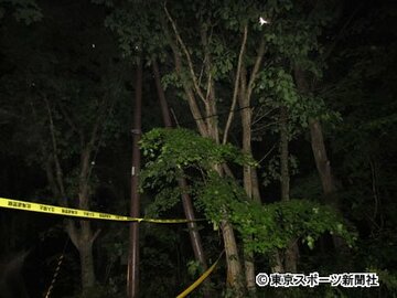 大和くんが置き去りにされた林道