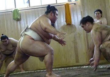  若い衆に胸を出す貴景勝（左）