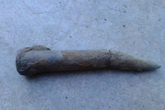 ベルギーで発見された第一次世界大戦の不発弾（写真と本文は関係ありません）