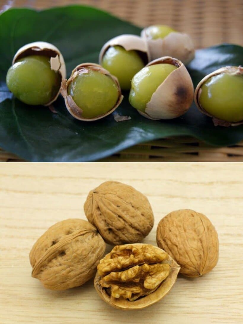  ギンナン（写真上）とクルミ