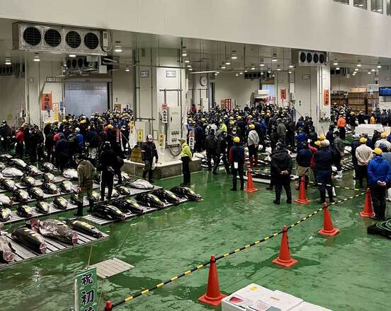 豊洲市場の初競り(5日朝、東スポWeb)