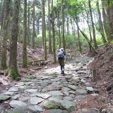 古い石畳が続く箱根の旧道