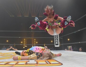メガトン(下)を相手に張り切るウナギ・サヤカ