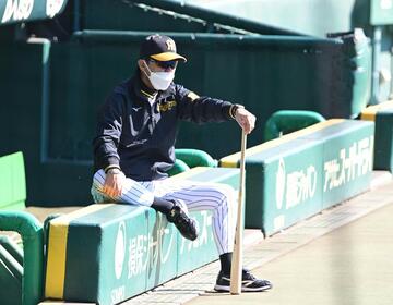 三塁側ベンチから練習を見る阪神・岡田監督