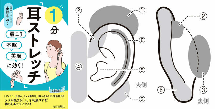  耳のストレッチは大切です