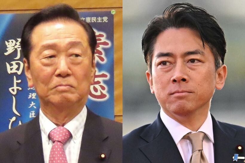 小沢一郎氏（左）と小泉進次郎氏