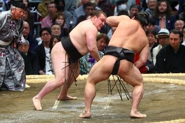 若元春(右)を落ち着いてさばいた安青錦