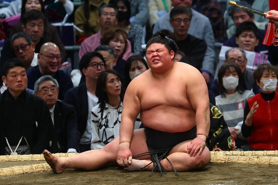 初日に、はたき込みで敗れた伯乃富士