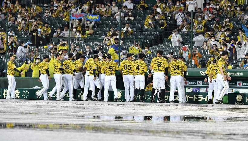  降雨コールド勝ちが決まりファンの声援に応える阪神ナイン