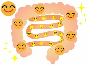  腸は第二の脳といわれる