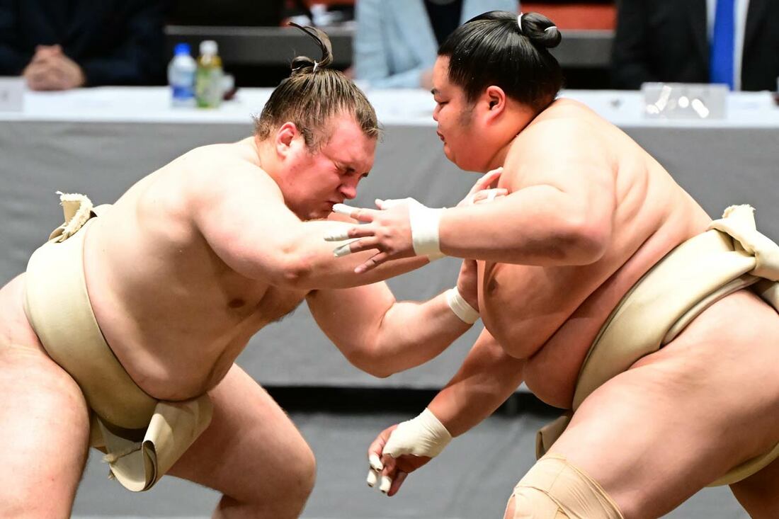 苦悶の表情を浮かべる安青錦（左）