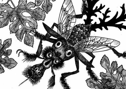 「嫌われ虫」